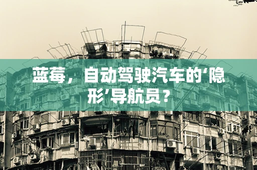蓝莓，自动驾驶汽车的‘隐形’导航员？