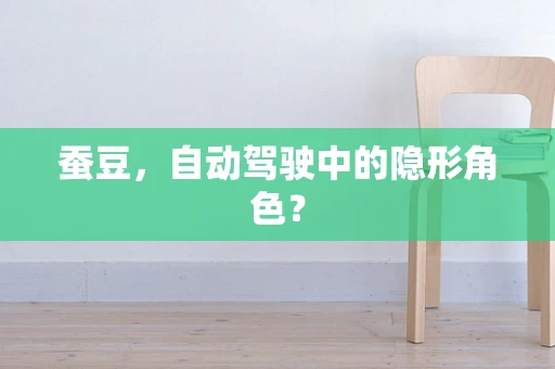 蚕豆，自动驾驶中的隐形角色？