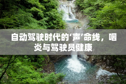 自动驾驶时代的‘声’命线，咽炎与驾驶员健康