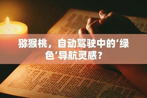 猕猴桃，自动驾驶中的‘绿色’导航灵感？
