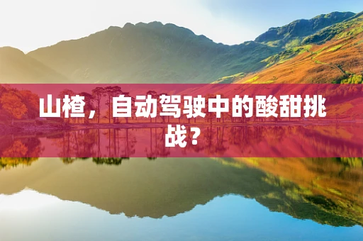 山楂，自动驾驶中的酸甜挑战？