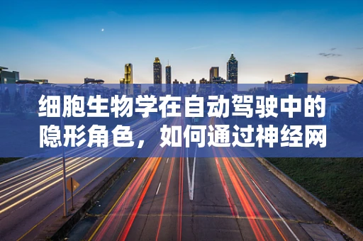 细胞生物学在自动驾驶中的隐形角色，如何通过神经网络模拟提升算法决策能力？
