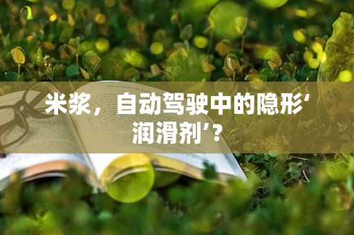 米浆，自动驾驶中的隐形‘润滑剂’？