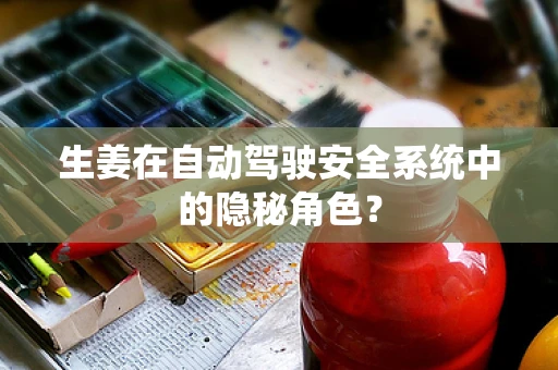生姜在自动驾驶安全系统中的隐秘角色？