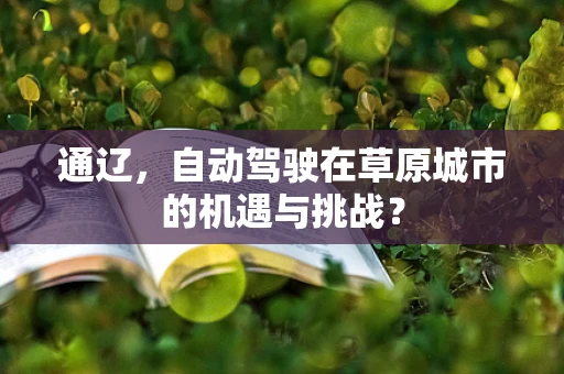 通辽，自动驾驶在草原城市的机遇与挑战？