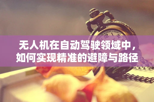 无人机在自动驾驶领域中，如何实现精准的避障与路径规划？