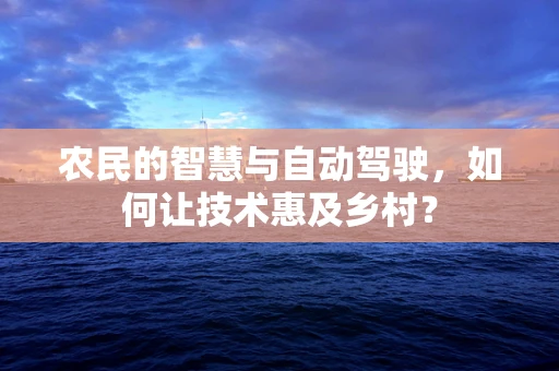 农民的智慧与自动驾驶，如何让技术惠及乡村？