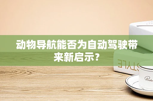 动物导航能否为自动驾驶带来新启示？