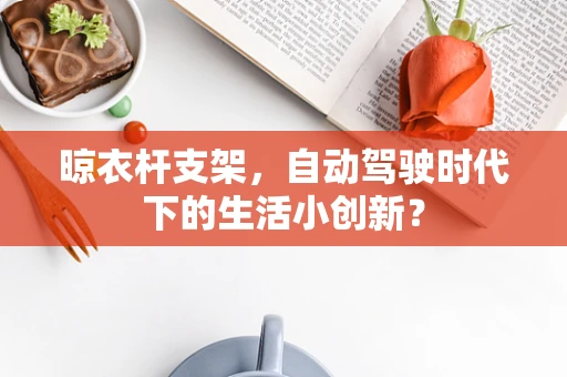 晾衣杆支架，自动驾驶时代下的生活小创新？