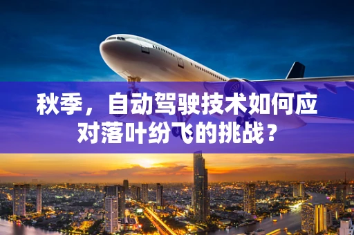秋季，自动驾驶技术如何应对落叶纷飞的挑战？