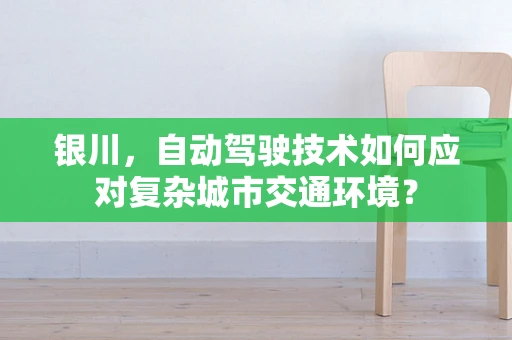 银川，自动驾驶技术如何应对复杂城市交通环境？