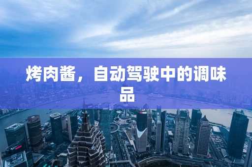烤肉酱，自动驾驶中的调味品