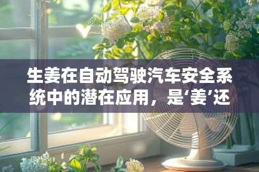 生姜在自动驾驶汽车安全系统中的潜在应用，是‘姜’还是‘热’？
