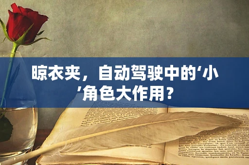 晾衣夹，自动驾驶中的‘小’角色大作用？