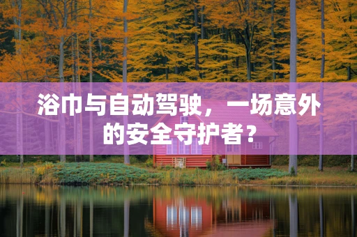 浴巾与自动驾驶，一场意外的安全守护者？