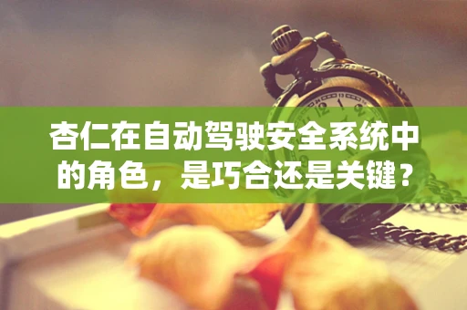 杏仁在自动驾驶安全系统中的角色，是巧合还是关键？