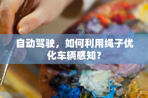 自动驾驶，如何利用绳子优化车辆感知？