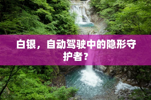 白银，自动驾驶中的隐形守护者？