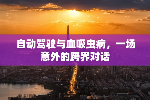 自动驾驶与血吸虫病，一场意外的跨界对话