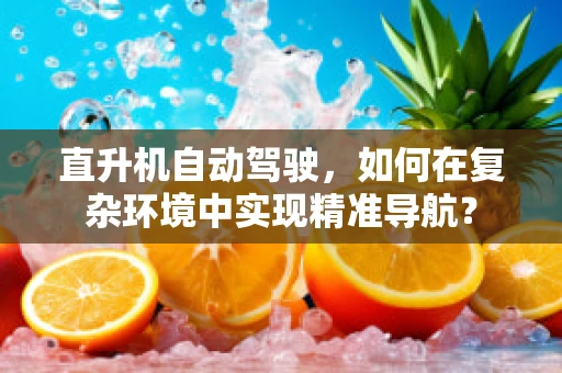 直升机自动驾驶，如何在复杂环境中实现精准导航？