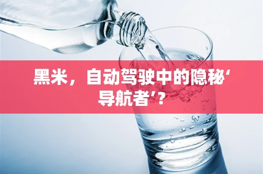 黑米，自动驾驶中的隐秘‘导航者’？