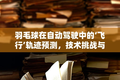 羽毛球在自动驾驶中的‘飞行’轨迹预测，技术挑战与机遇？