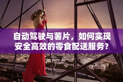 自动驾驶与薯片，如何实现安全高效的零食配送服务？
