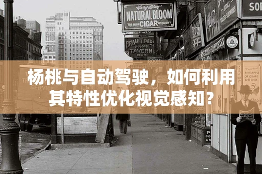杨桃与自动驾驶，如何利用其特性优化视觉感知？