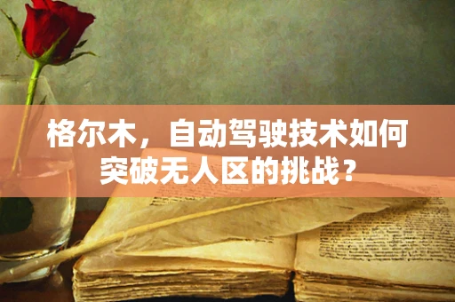 格尔木，自动驾驶技术如何突破无人区的挑战？