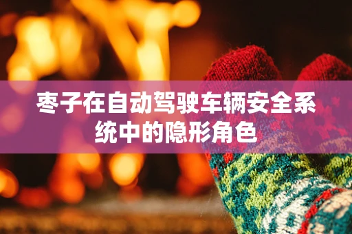 枣子在自动驾驶车辆安全系统中的隐形角色