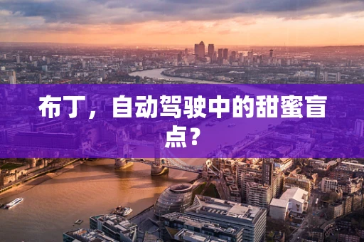 布丁，自动驾驶中的甜蜜盲点？