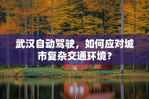 武汉自动驾驶，如何应对城市复杂交通环境？