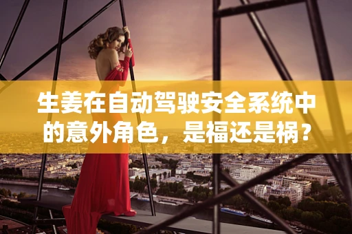 生姜在自动驾驶安全系统中的意外角色，是福还是祸？