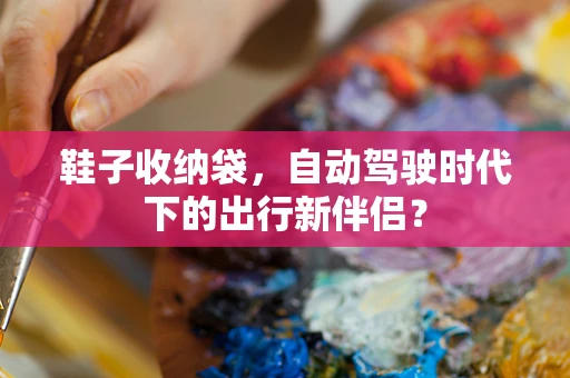 鞋子收纳袋，自动驾驶时代下的出行新伴侣？