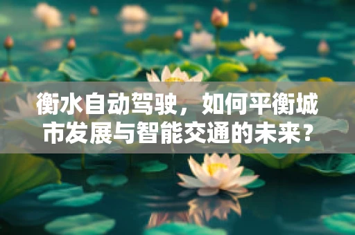 衡水自动驾驶，如何平衡城市发展与智能交通的未来？