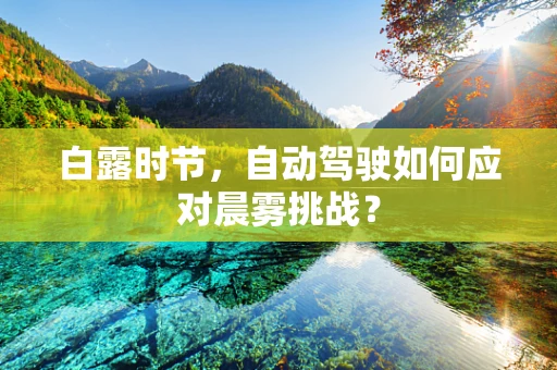 白露时节，自动驾驶如何应对晨雾挑战？