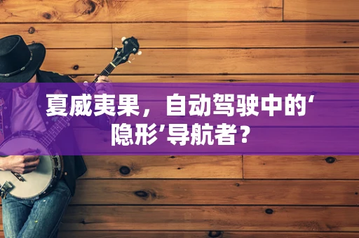 夏威夷果，自动驾驶中的‘隐形’导航者？