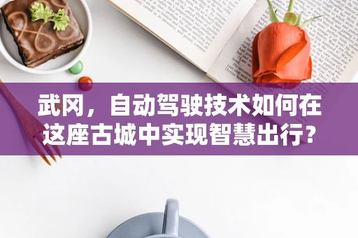 武冈，自动驾驶技术如何在这座古城中实现智慧出行？