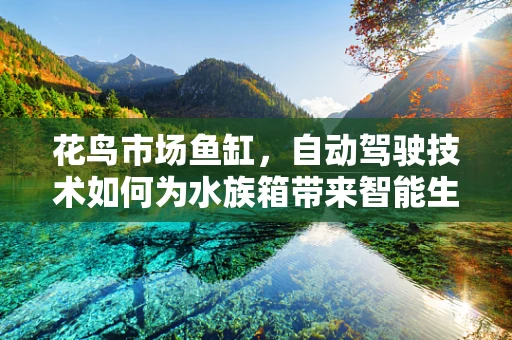花鸟市场鱼缸，自动驾驶技术如何为水族箱带来智能生活？