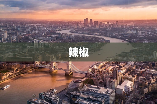 辣椒