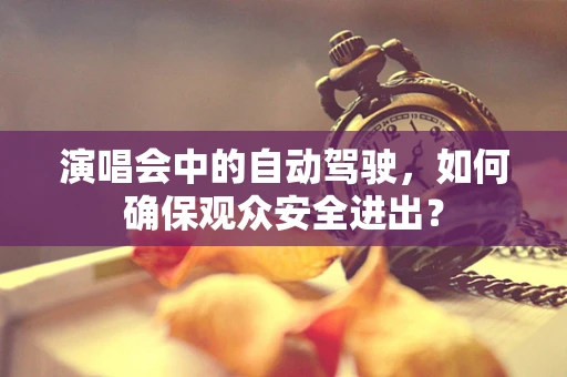 演唱会中的自动驾驶，如何确保观众安全进出？
