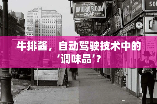 牛排酱，自动驾驶技术中的‘调味品’？