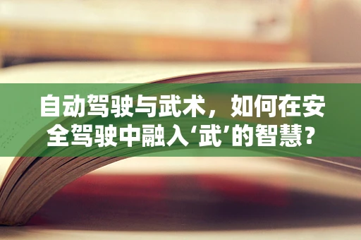 自动驾驶与武术，如何在安全驾驶中融入‘武’的智慧？