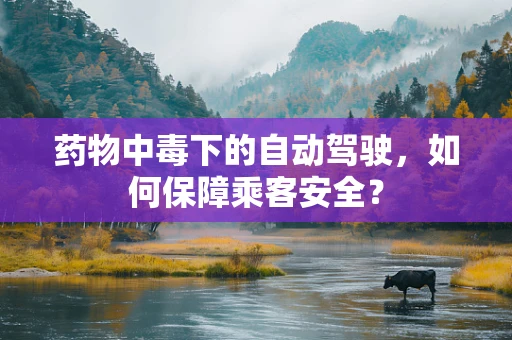 药物中毒下的自动驾驶，如何保障乘客安全？