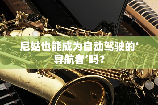 尼姑也能成为自动驾驶的‘导航者’吗？