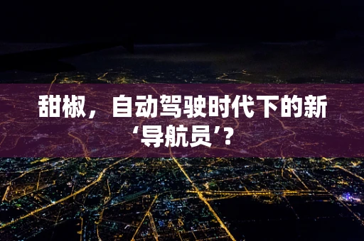 甜椒，自动驾驶时代下的新‘导航员’？