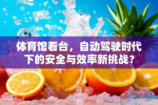 体育馆看台，自动驾驶时代下的安全与效率新挑战？