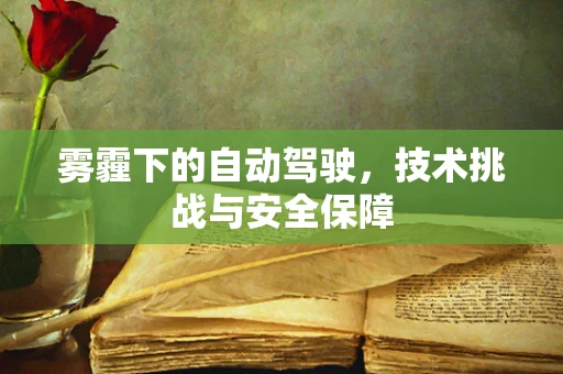 雾霾下的自动驾驶，技术挑战与安全保障
