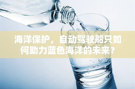 海洋保护，自动驾驶船只如何助力蓝色海洋的未来？