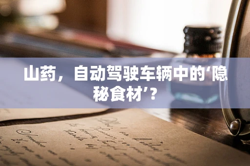 山药，自动驾驶车辆中的‘隐秘食材’？